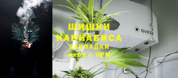 дживик Нягань