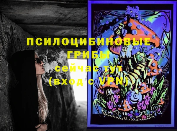 дживик Нягань