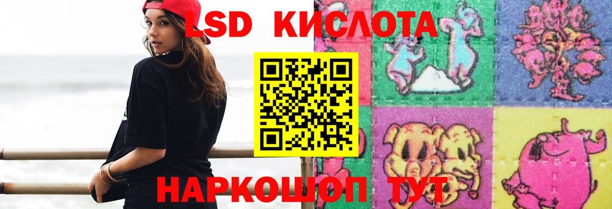 Зерноград  LSD-25 экстази кислота  blacksprut как зайти  Лсд 25 экстази кислота  Вход с VPN  ЛСД экстази 