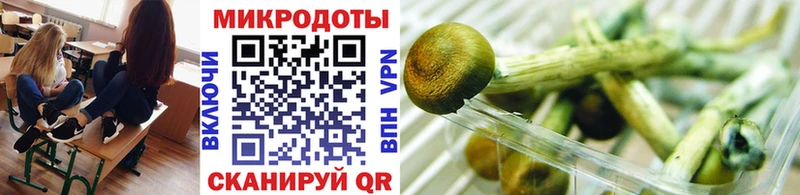 OMG ССЫЛКА  Зерноград  Псилоцибиновые грибы прущие грибы 