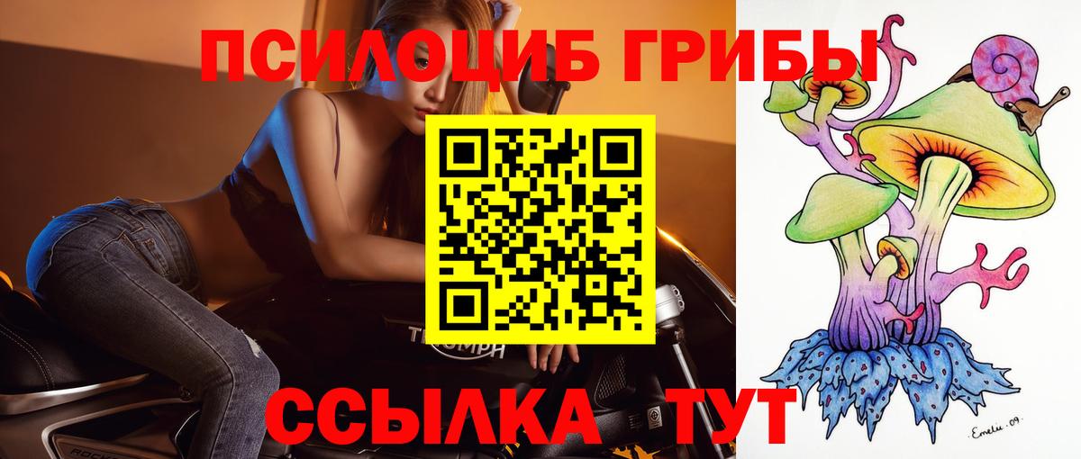 Галлюциногенные грибы Cubensis  Псилоцибиновые грибы Psilocybine cubensis  Зерноград 